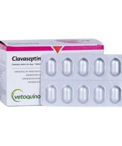 Clavaseptin