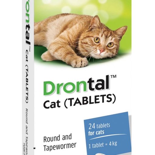 Drontal cat