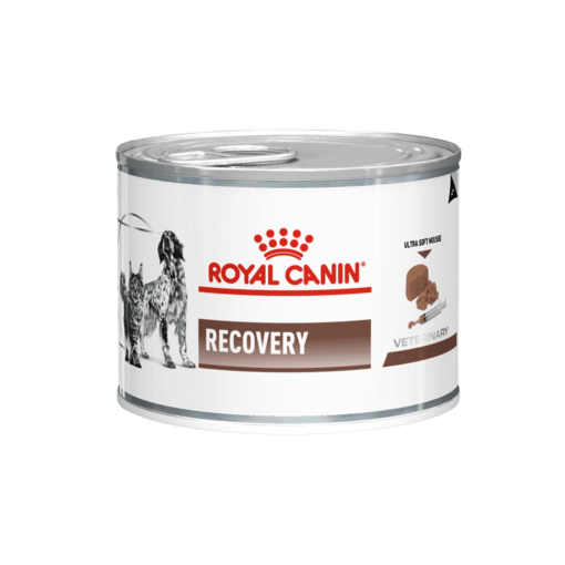 Royal Canin Recovery
