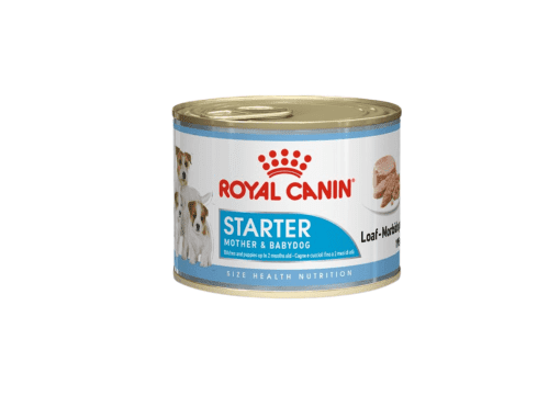 Royal Canin starter