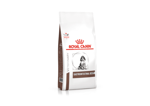 royal canin gastrointestinal puppy