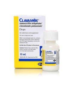 cloavamox