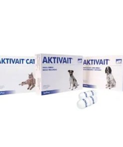 aktivait-