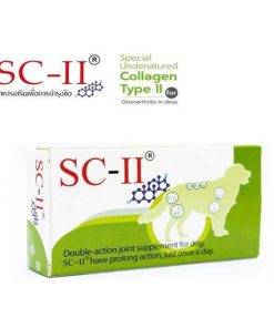 SCII