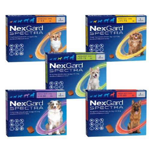 nexgard