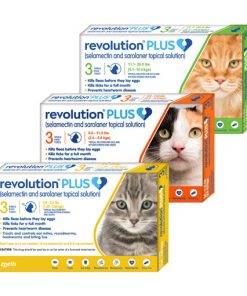 revolution plus