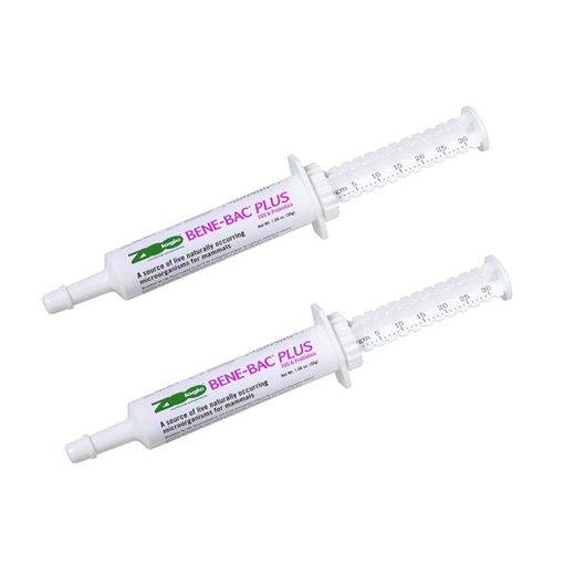 BeneBac
