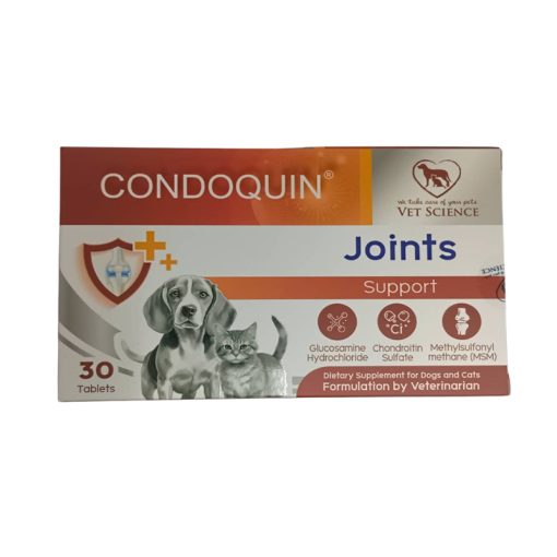 Condoquin