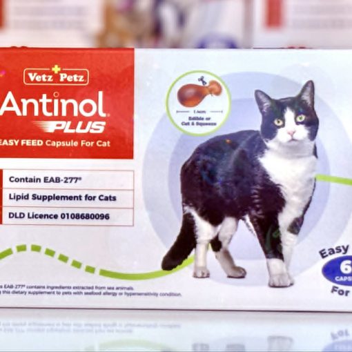Antinol แมว แอนตินอล บำรุงข้อต่อแมว ลดการอักเสบ ของแท้ พร้อมส่ง 5 Antinol แมว