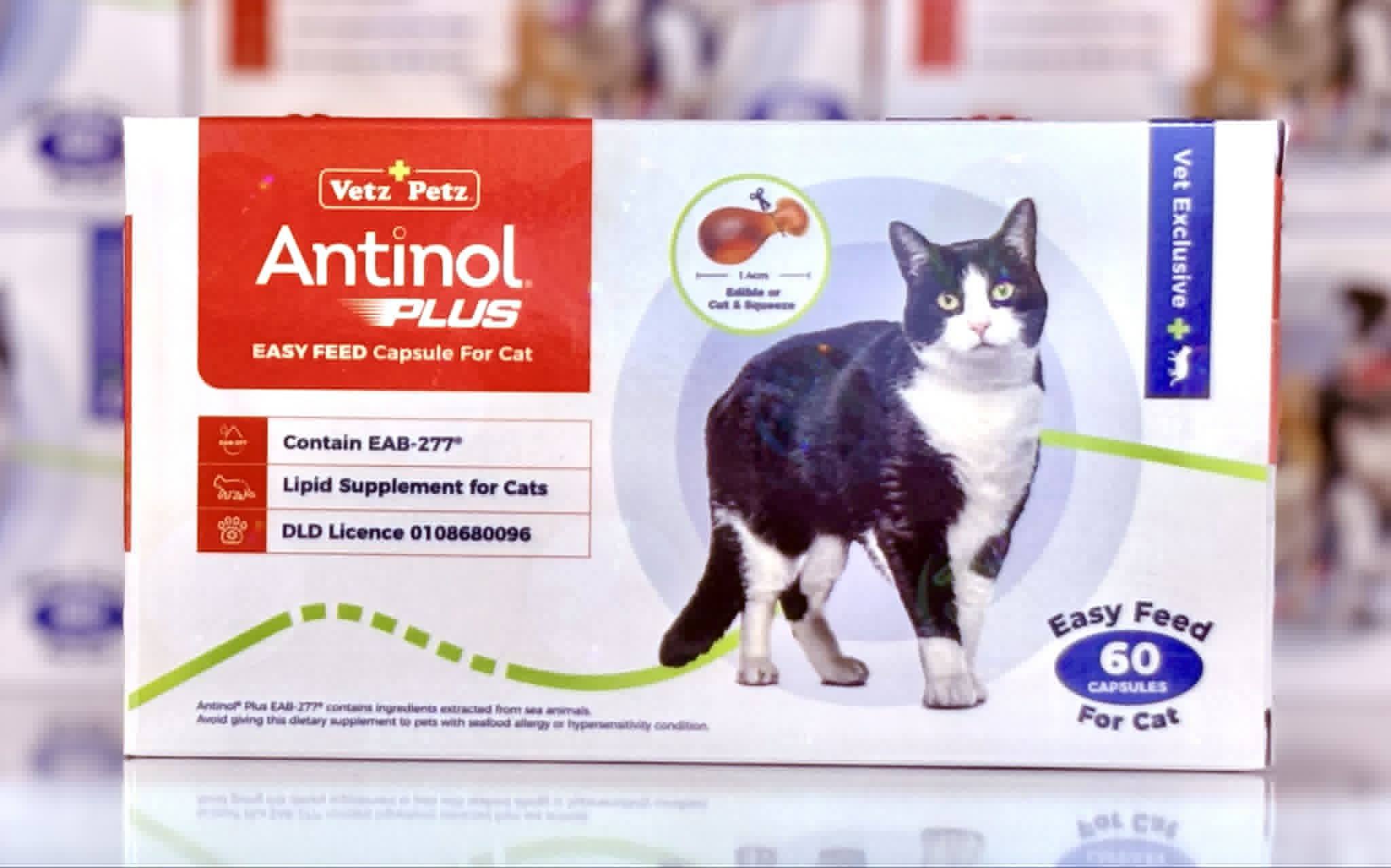 Antinol แมว แอนตินอล บำรุงข้อต่อแมว ลดการอักเสบ ของแท้ พร้อมส่ง 4 Antinol แมว