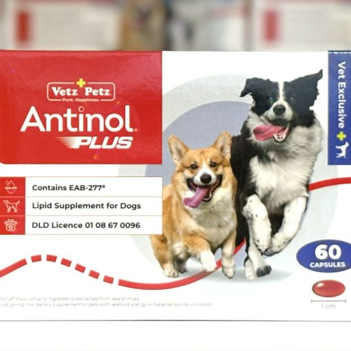 Antinol สุนัข