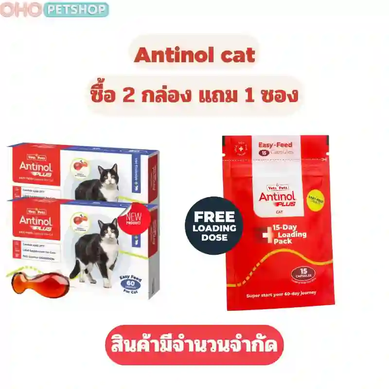 Antinol cat