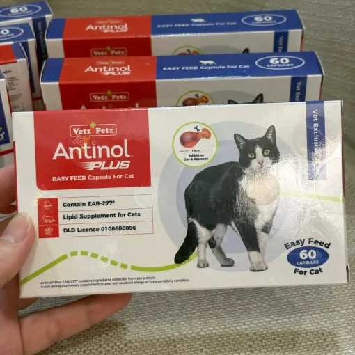 Antinol Cat