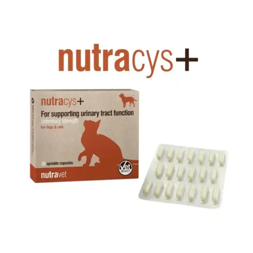 Nutracys