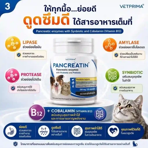 Pancreatin 1