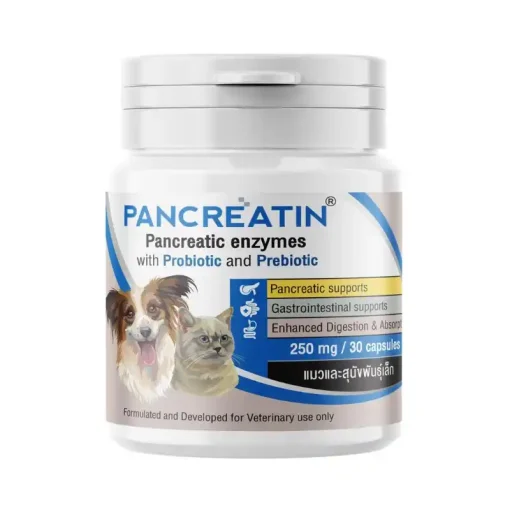 Pancreatin 250