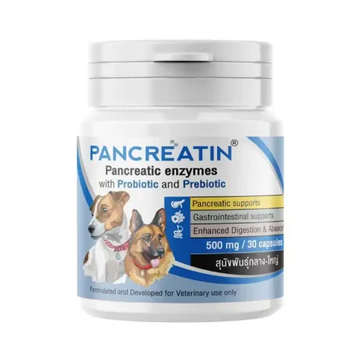 Pancreatin 500