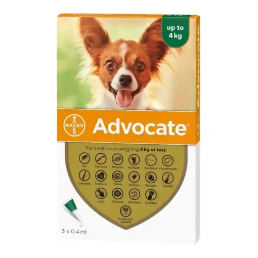 Advocate Dog
