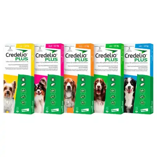 Credelio Plus