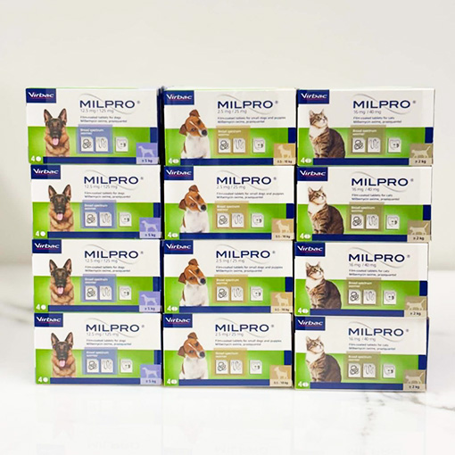 Milpro แมว ป้องกันหนอนหัวใจ พยาธิตัวตืด ตัวแบน ตัวกลม แมว 28 กก. 3 Milpro