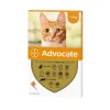 Advocate Cat 4 Kg. 2
