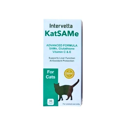 Katsame