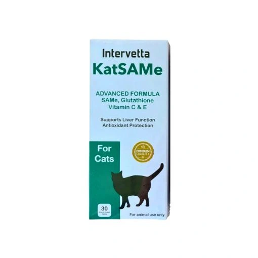 Katsame